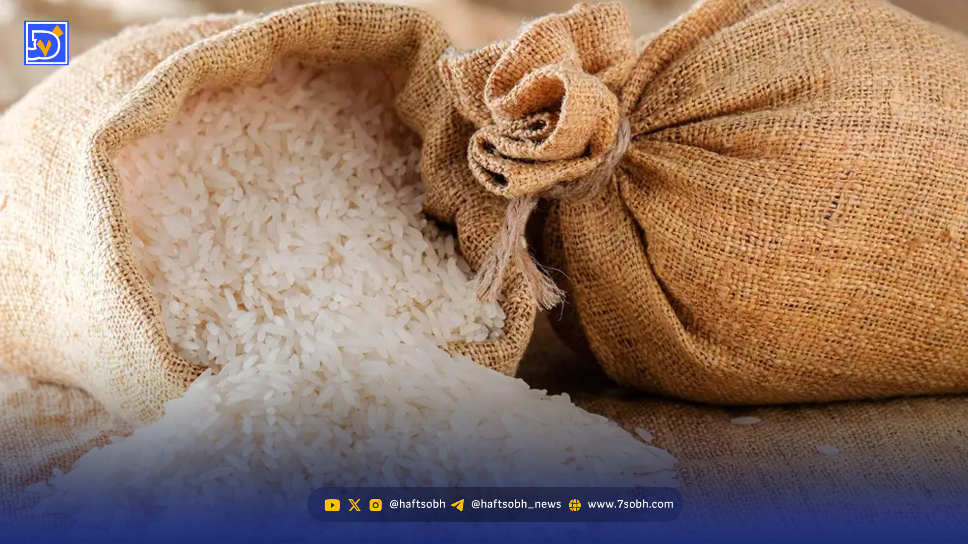برنج گران شد / قیمت برنج ایرانی کیلویی چند؟