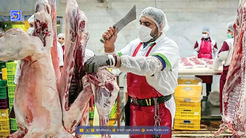قیمت گوشت قرمز ۲ دی ۱۴۰۴؛ ثبات نرخ‌ها ادامه دارد!