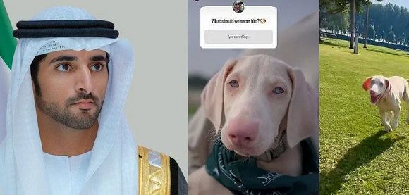 عکس| نامگذاری سگ جدید ولیعهد دُبی با نظر سنجی از 17 میلیون دنبال کننده اینستاگرام
