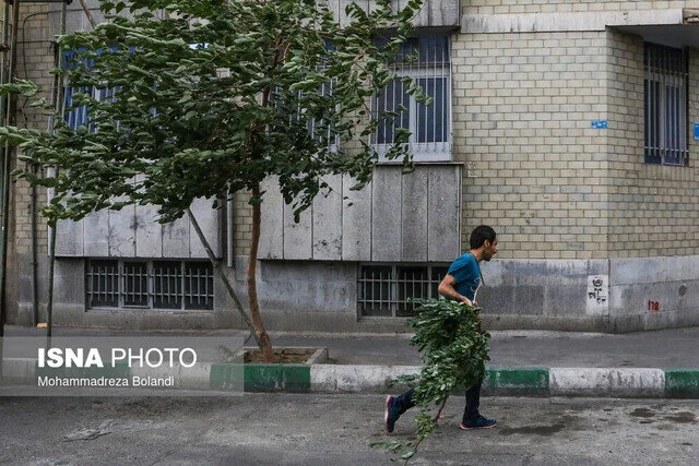 هشدار افزایش وزش باد در تهران