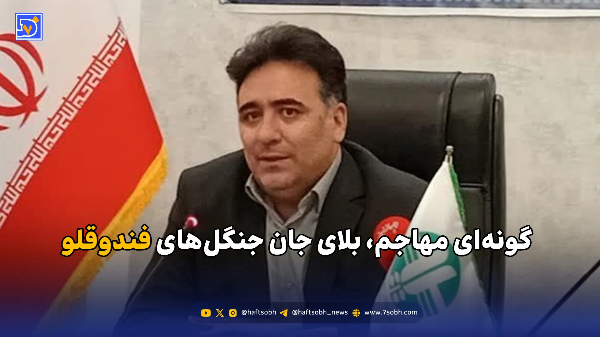 گونه‌ای مهاجم،‌ بلای جان جنگل‌های فندوقلو
