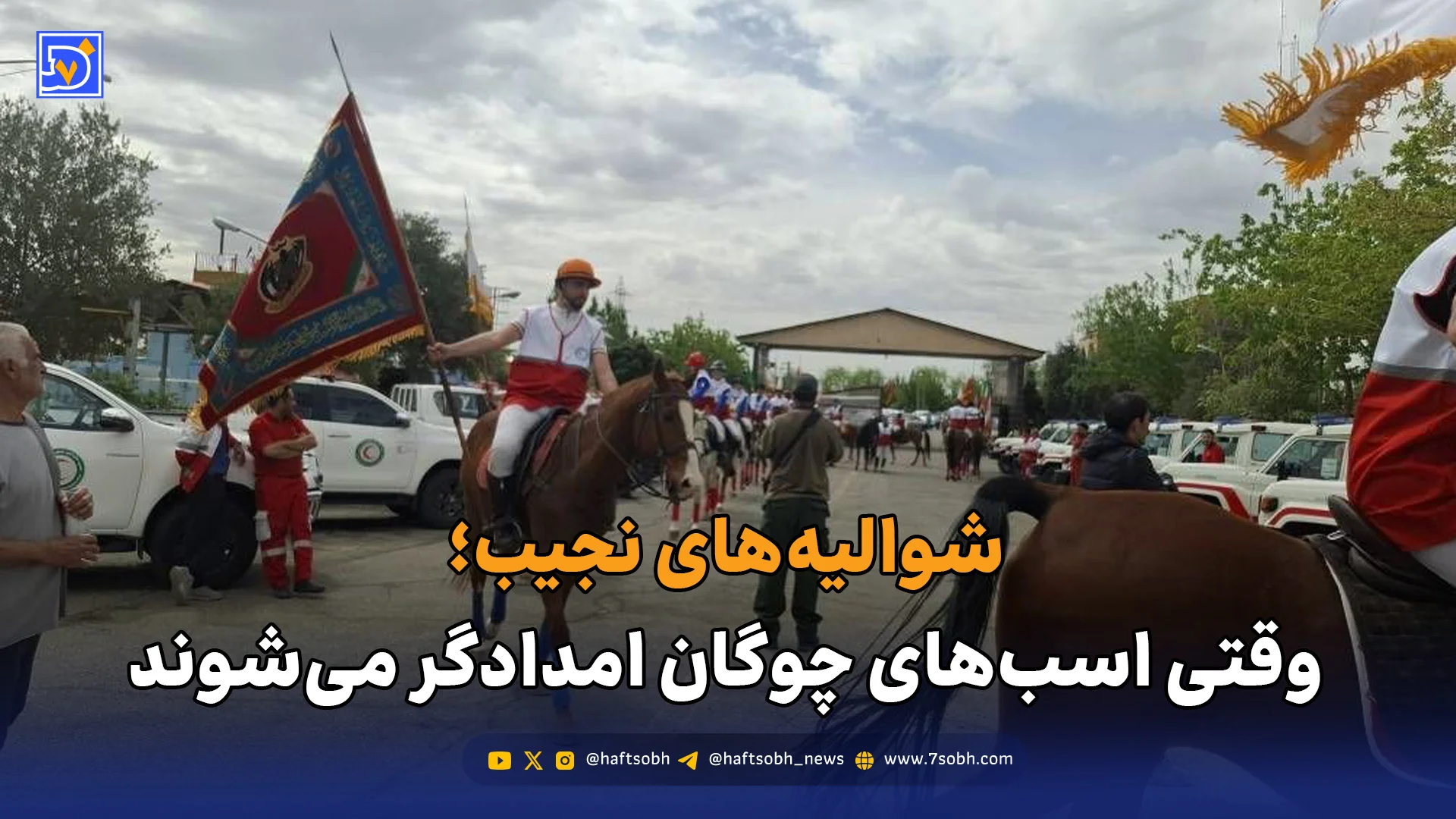 شوالیه‌های نجیب؛ وقتی اسب‌های چوگان امدادگر می‌شوند