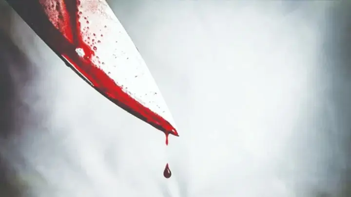 بازداشت 2 متهم در پرونده قتل مرد جوان در جنوب تهران