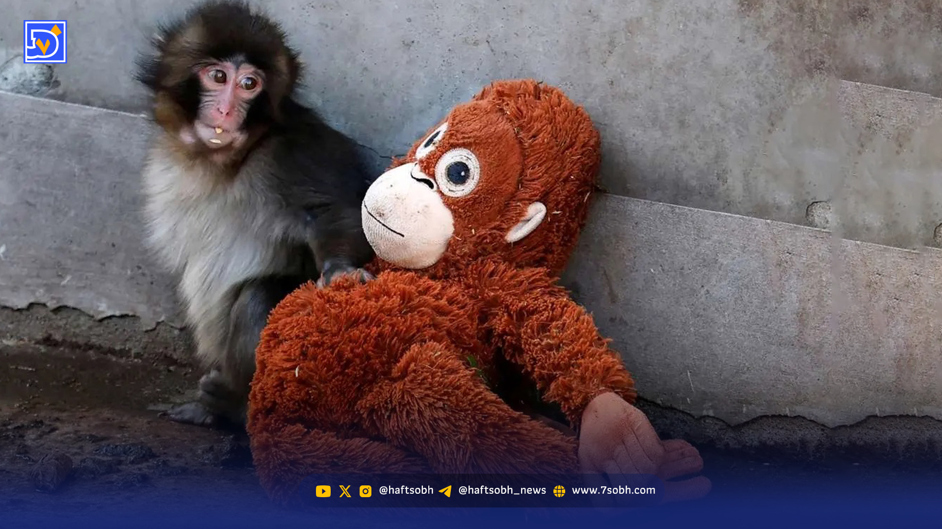 خرده روایت‌های خواندنی از ایران‌ و جهان ‌