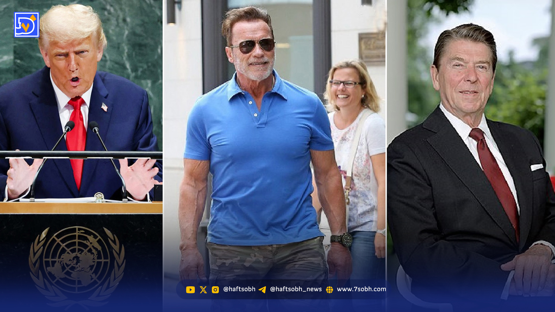 جایی برای سلبریتیها نیست