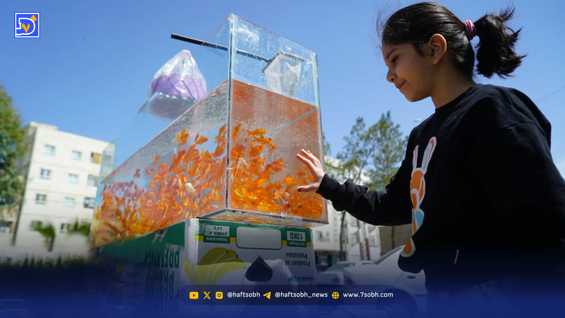 نوروز یعنی امید زنده است