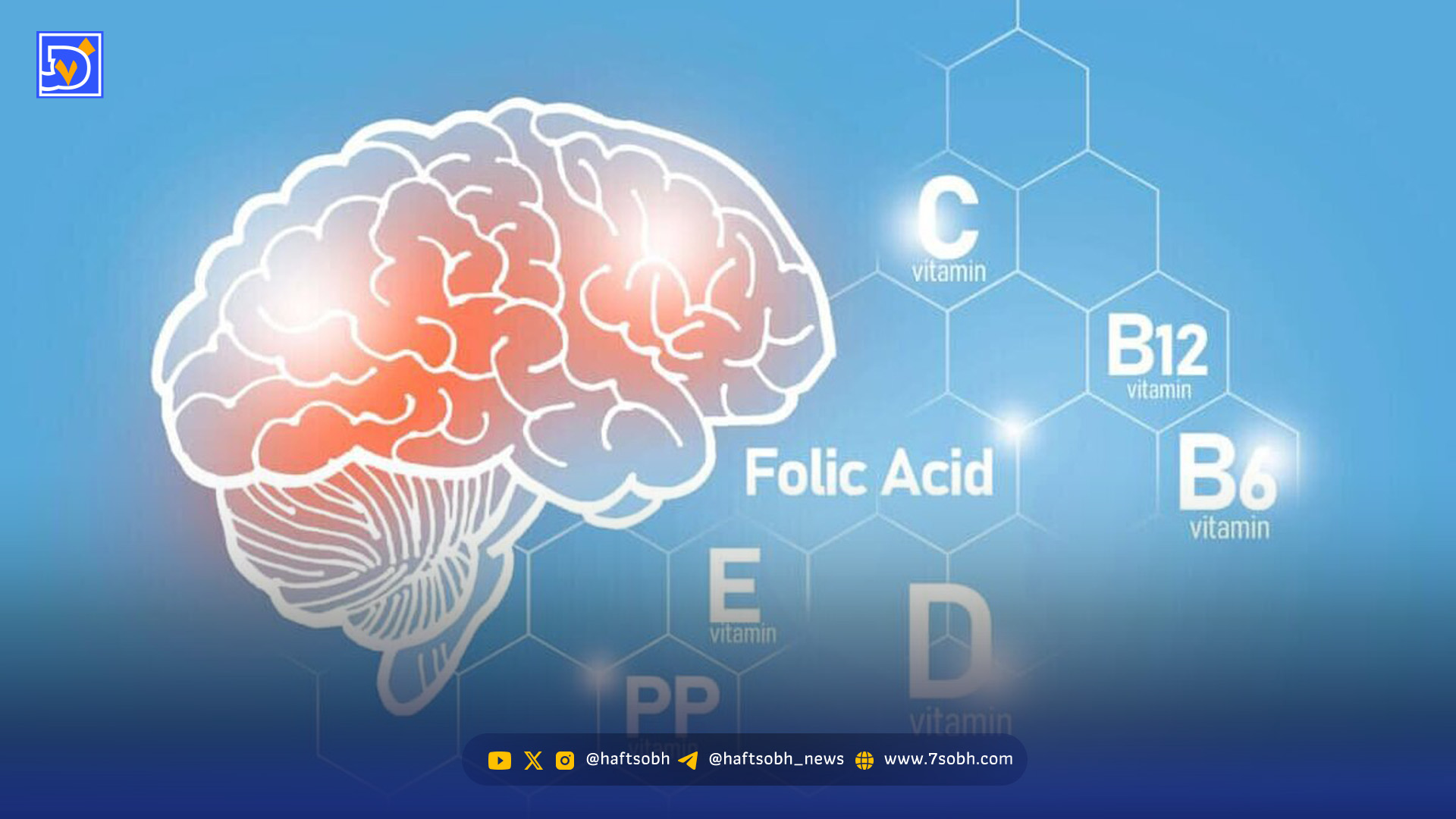 کمبود این ویتامین‌ها باعث ضعف حافظه می‌شود/ موثرترین راه پیشگیری