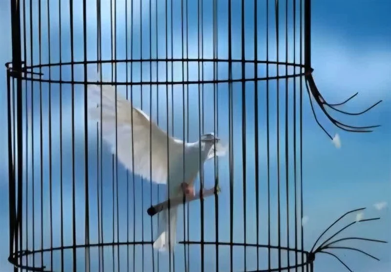 نرخ دیه سال ۱۴۰۵