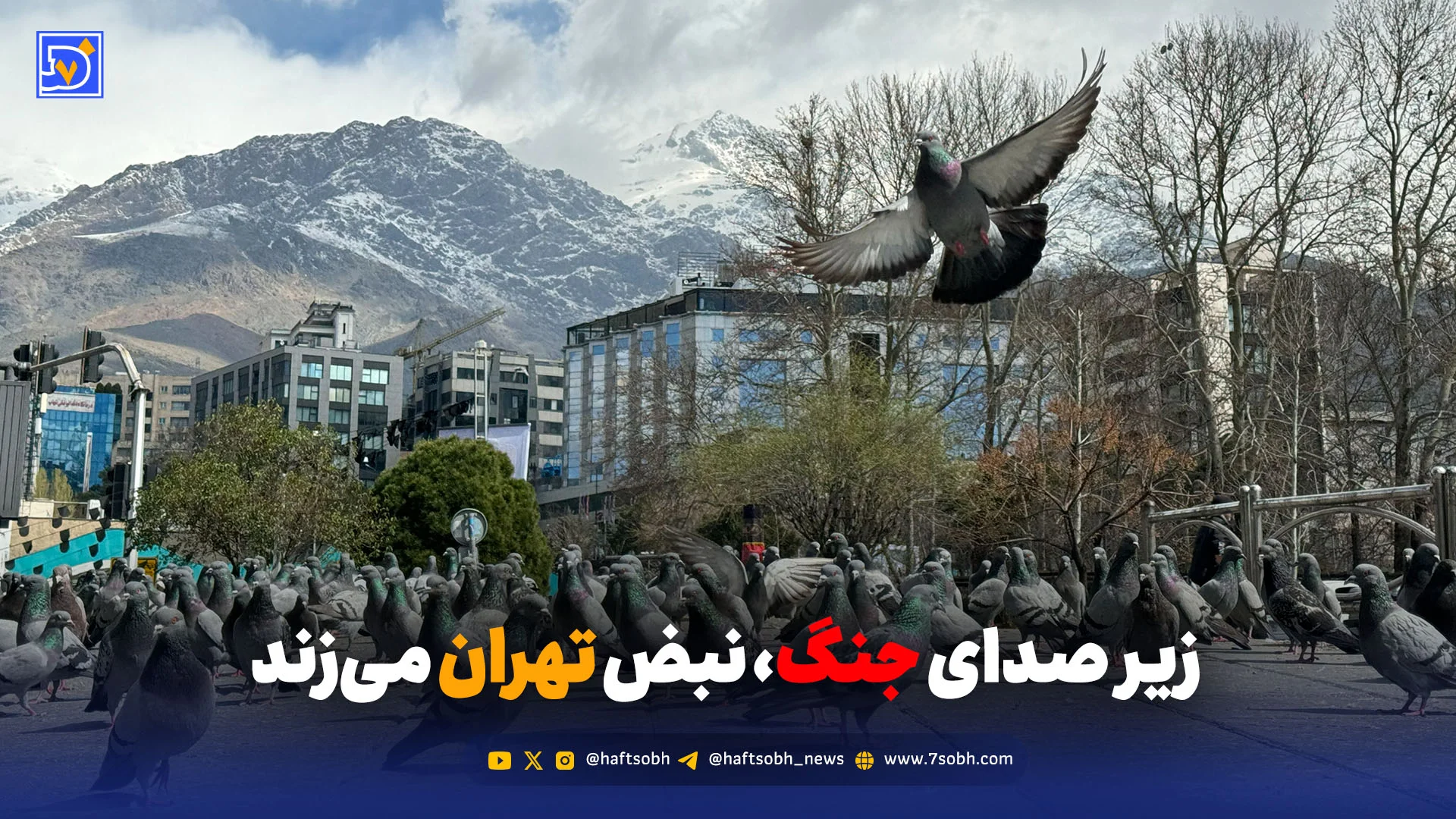 تهران؛ ایستاده، آرام، ادامهدار