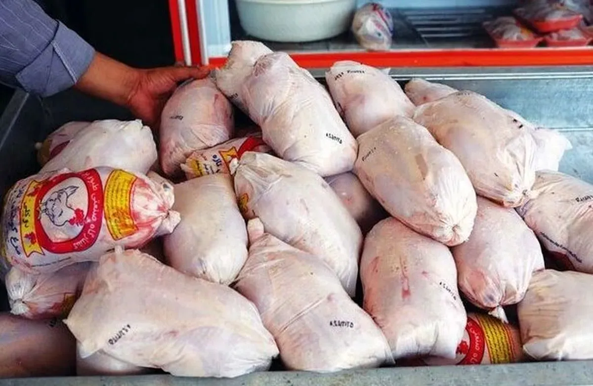 قیمت گوشت مرغ امروز جمعه 1 خرداد 1405 / مرغ ارزان می شود؟