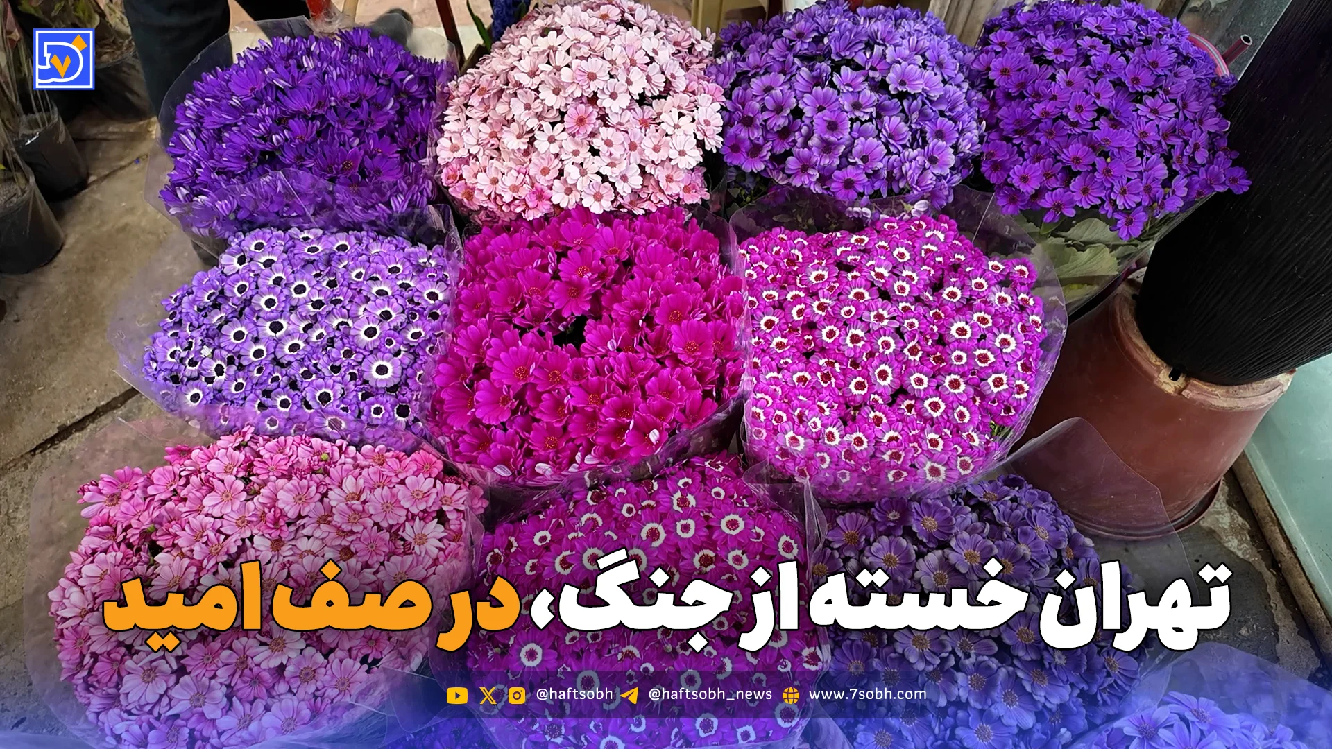 تهران خسته از جنگ، در صف امید