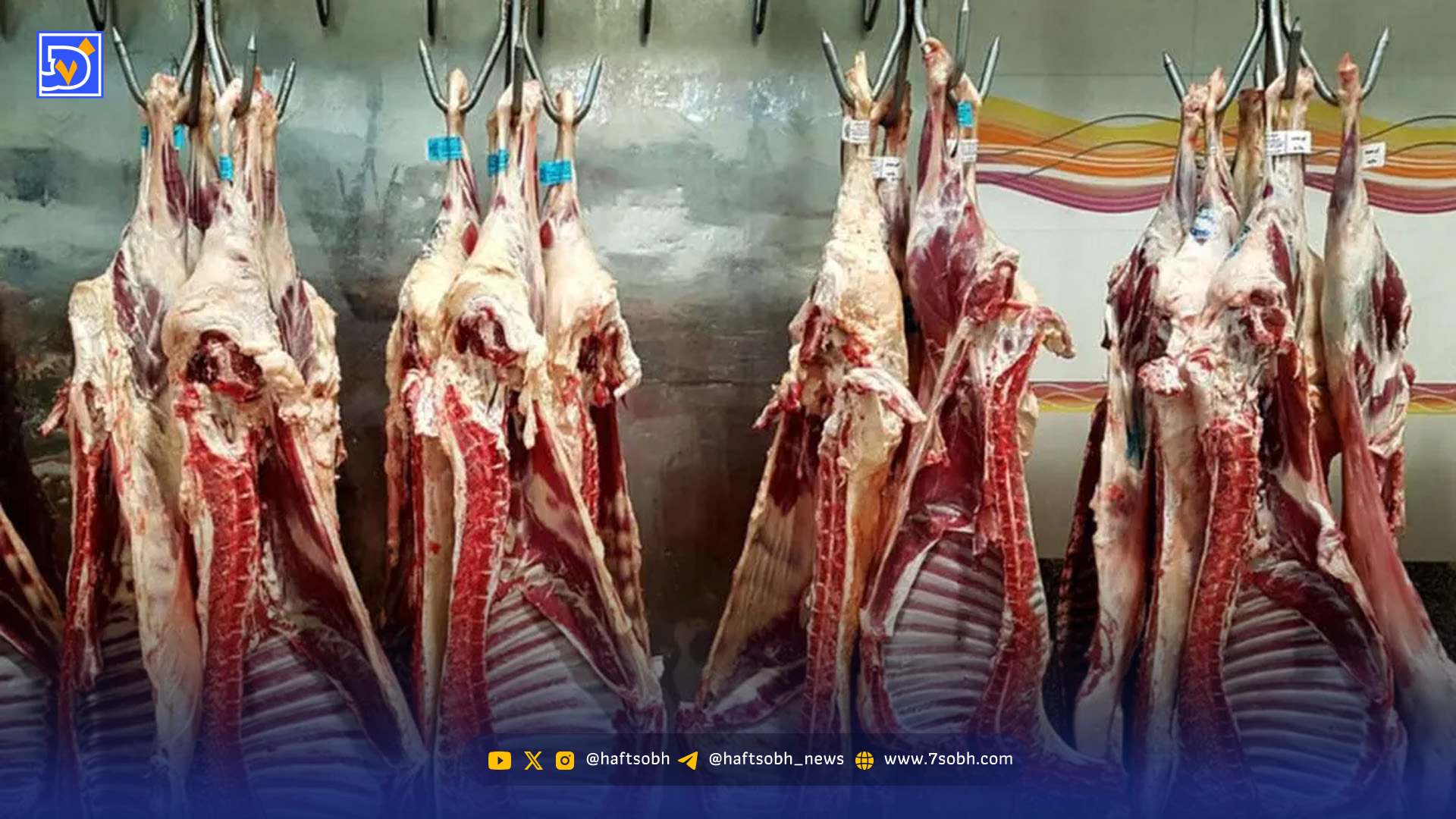 کاهش قیمت گوشت قرمز از این تاریخ / قیمت گوشت چقدر خواهد شد؟