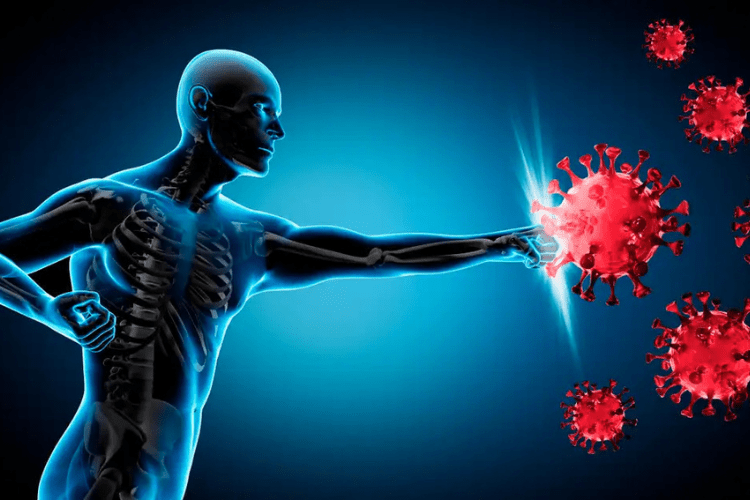 ۱۰ خوراکی متفاوت برای تقویت سیستم ایمنی