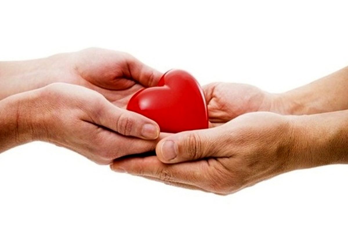 پیوند اندام خوک می‌تواند روزی از پیوند اندام انسانی پیشی بگیرد