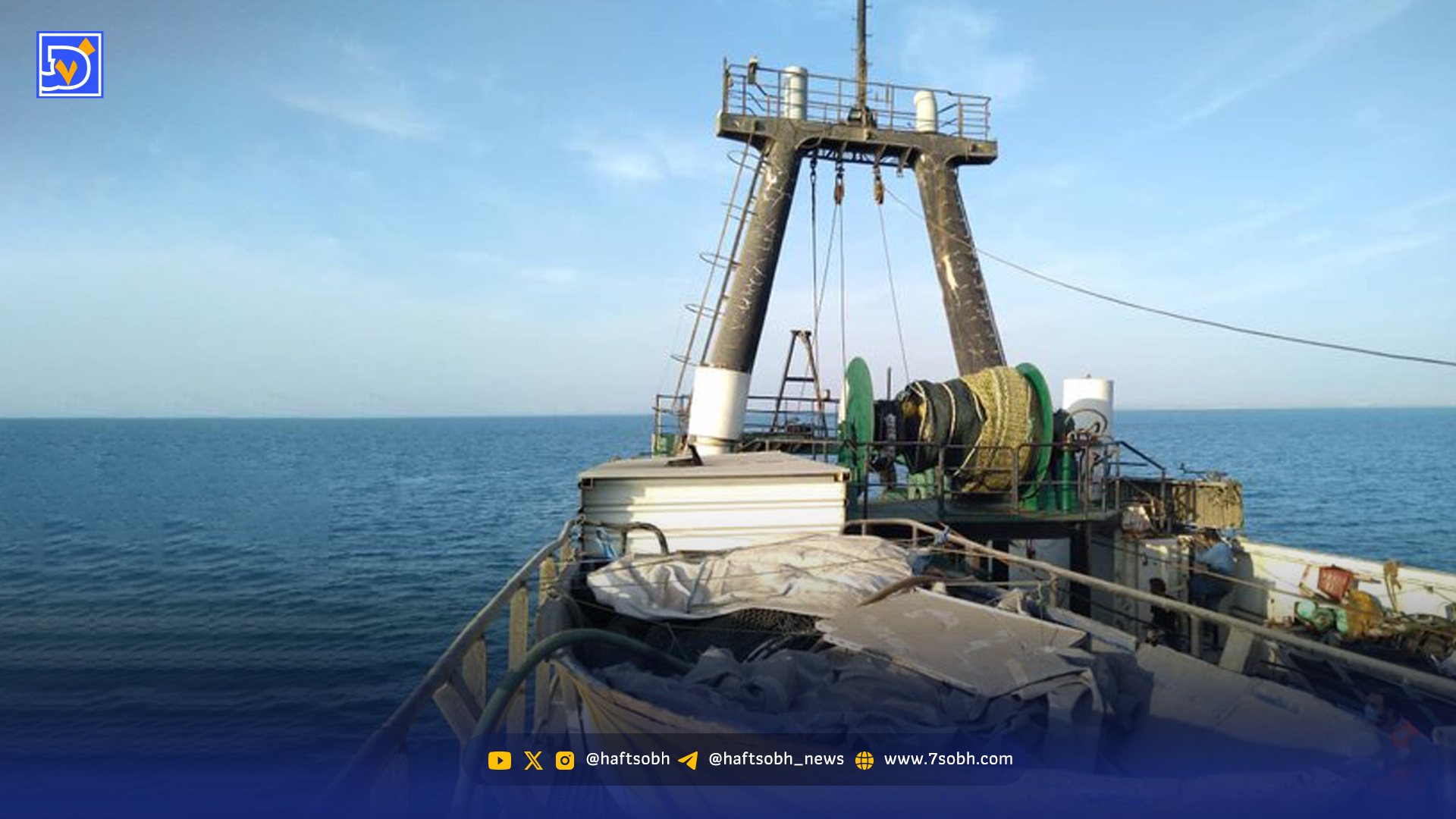 40 درصد گونه‌های شاخص خلیج فارس‌ در خطر انقراض