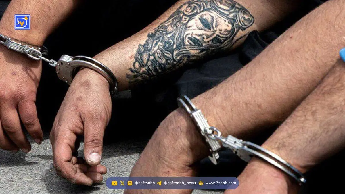 فیلم | زمین‌گیر شدن سرکرده اوباش محله پیروزی با شلیک پلیس