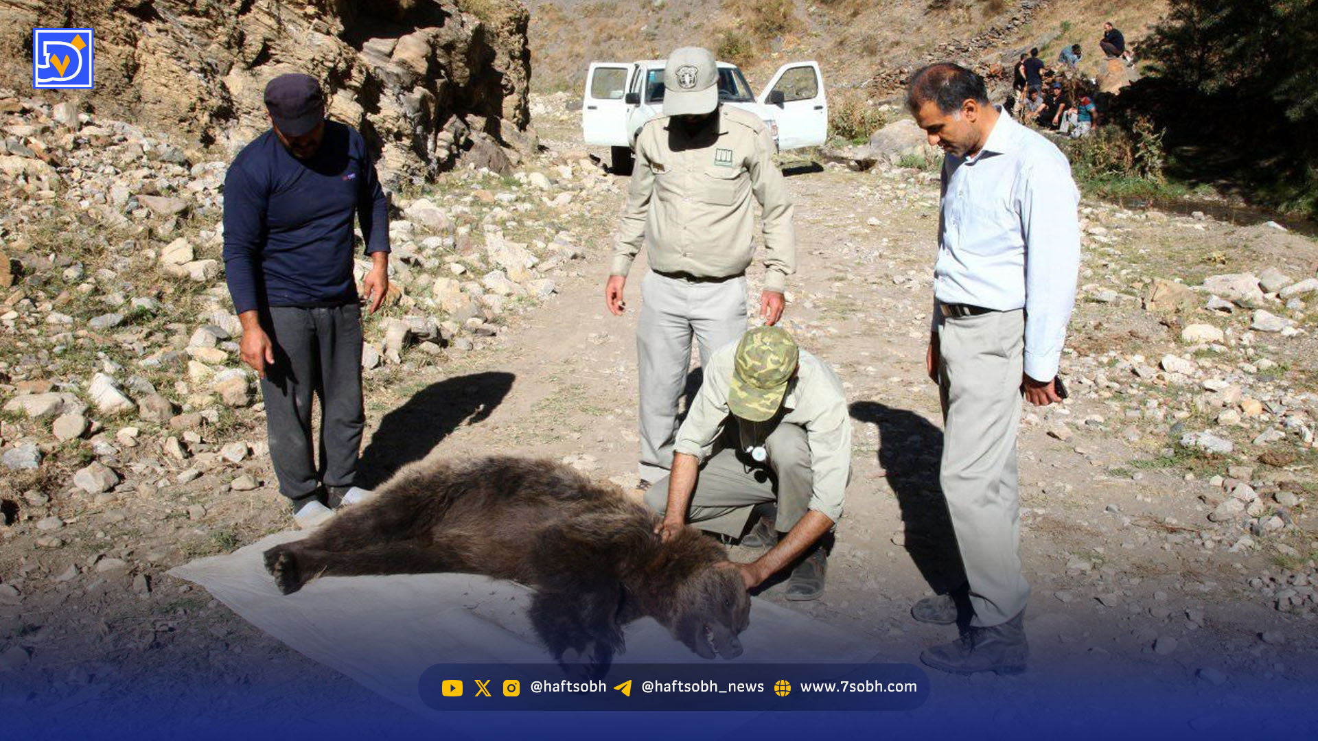 حیوانات پشت دیوار خانه‌ها