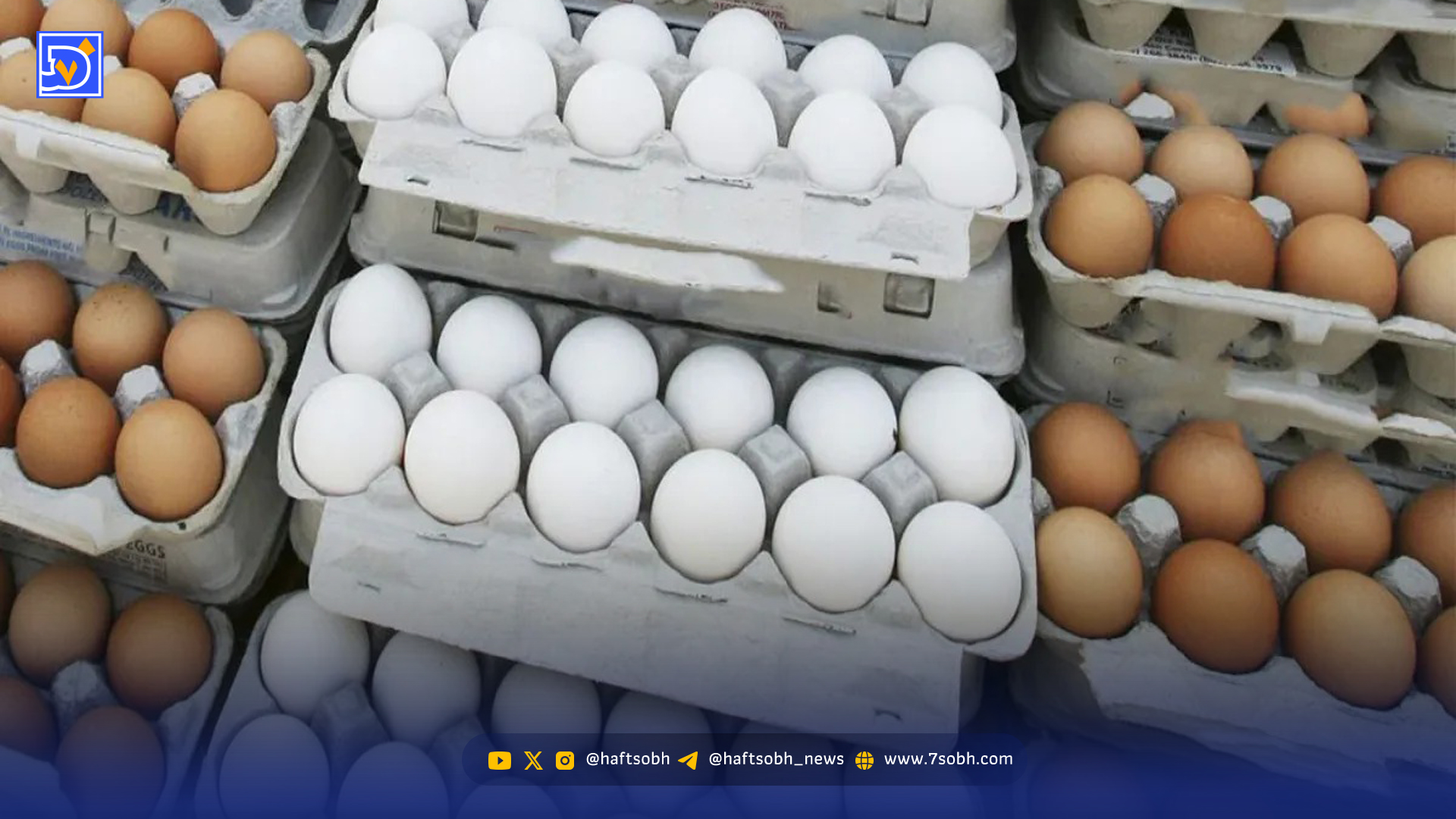 قیمت تخم مرغ دوباره اوج گرفت