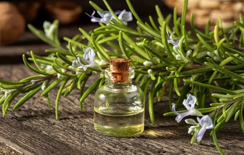 خواص روغن رزماری