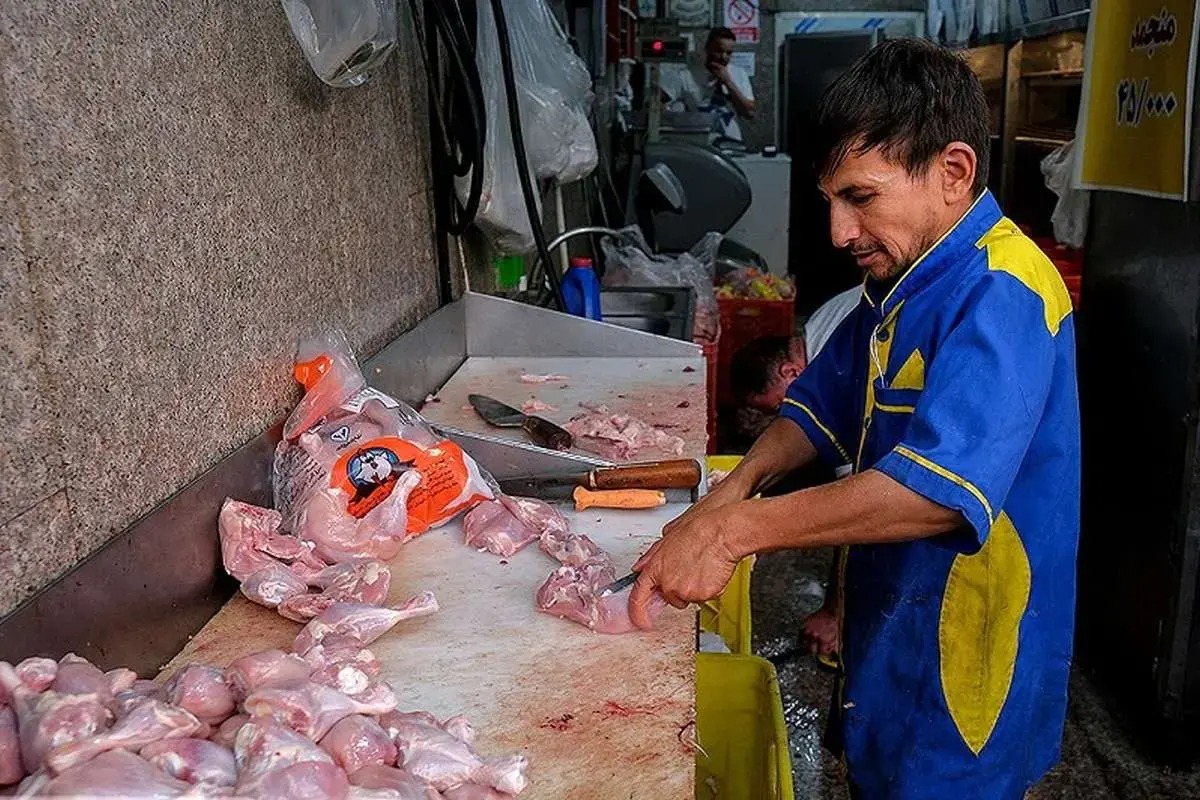 مرغ ۱۳۲ هزار تومانی وارد بازار شد/ مرغ گرم کیلویی چند؟