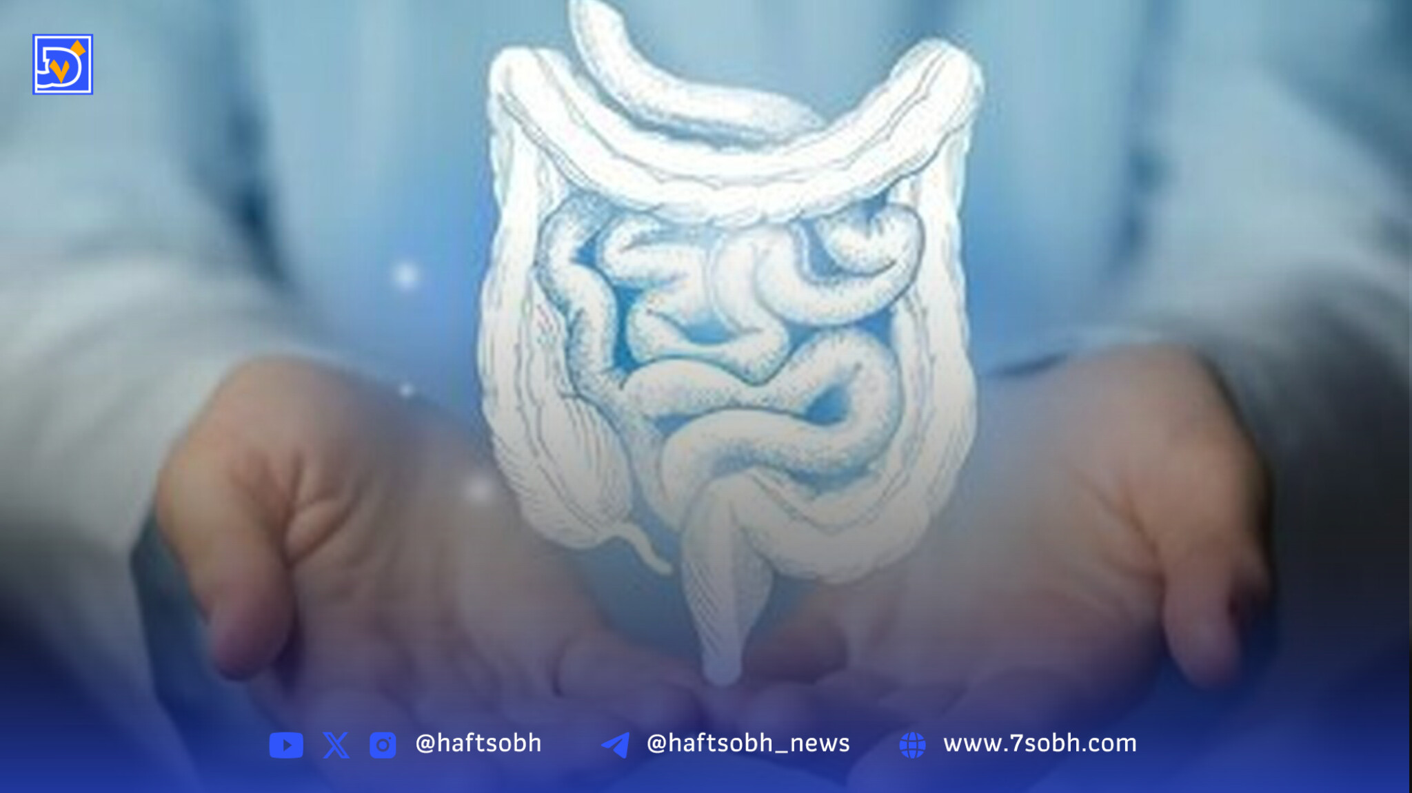 دلایل ابتلا به سرطان روده چیست؟ / راههای پیشگیری از این بیماری کشنده