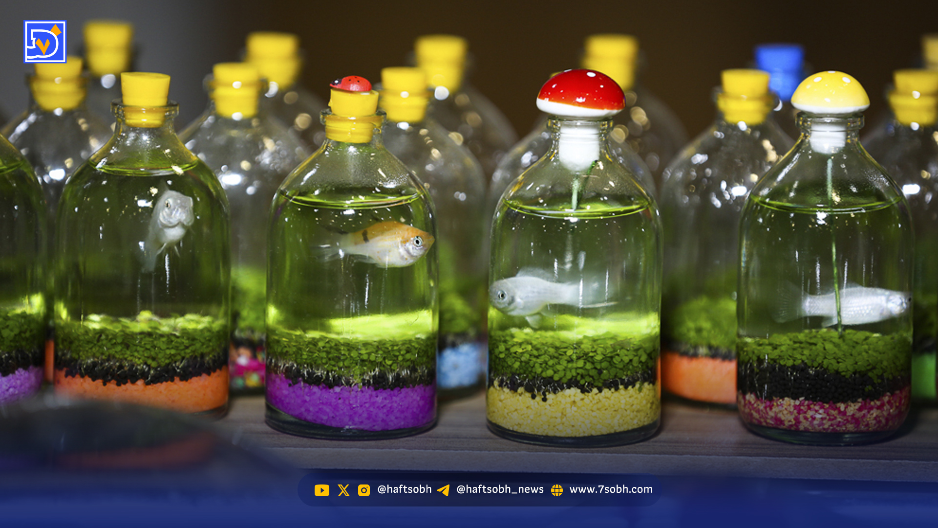 فروش ماهی در بطری‌های مرگ