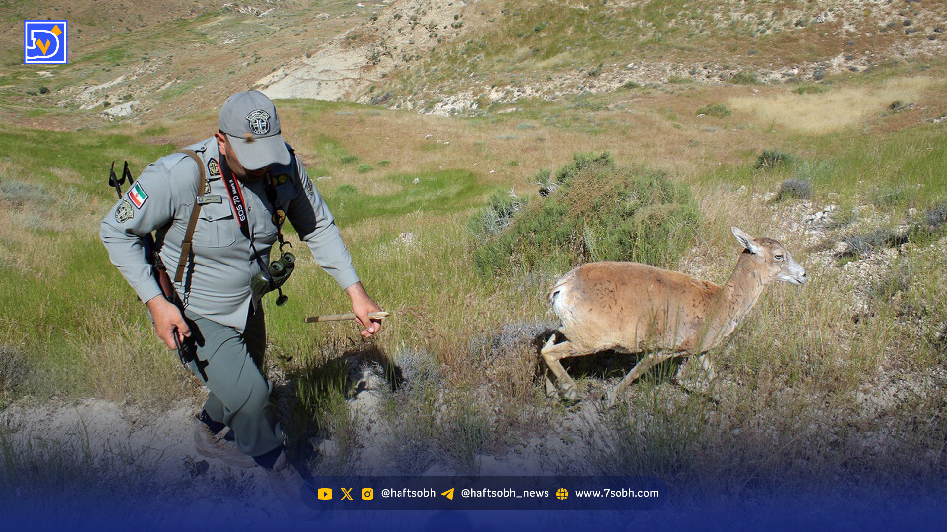 محیط‌بانان خسته، مناطق خالی