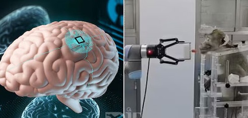 ایمپلنت مغزی که با هوش مصنوعی افکار شما را رمزگشایی می‌کند