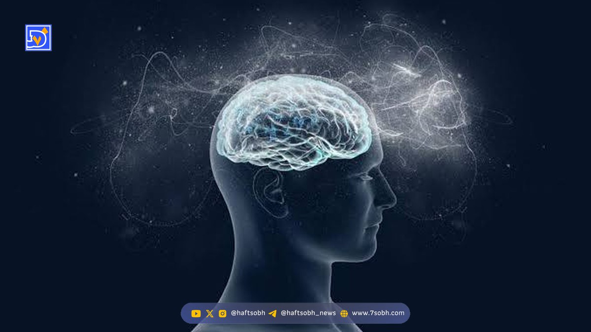 حقیقت پنهان درباره توانایی مغز برای رشد سلول‌های جدید