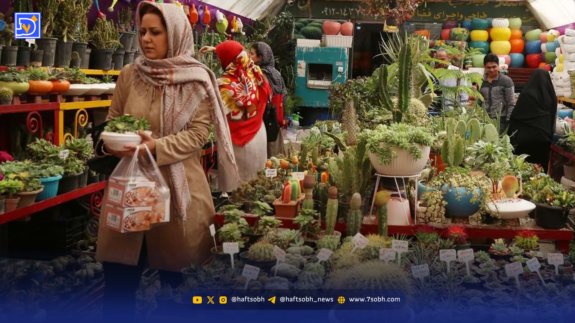 چند نکته مهم درباره بازار کاکتوس در ایران 