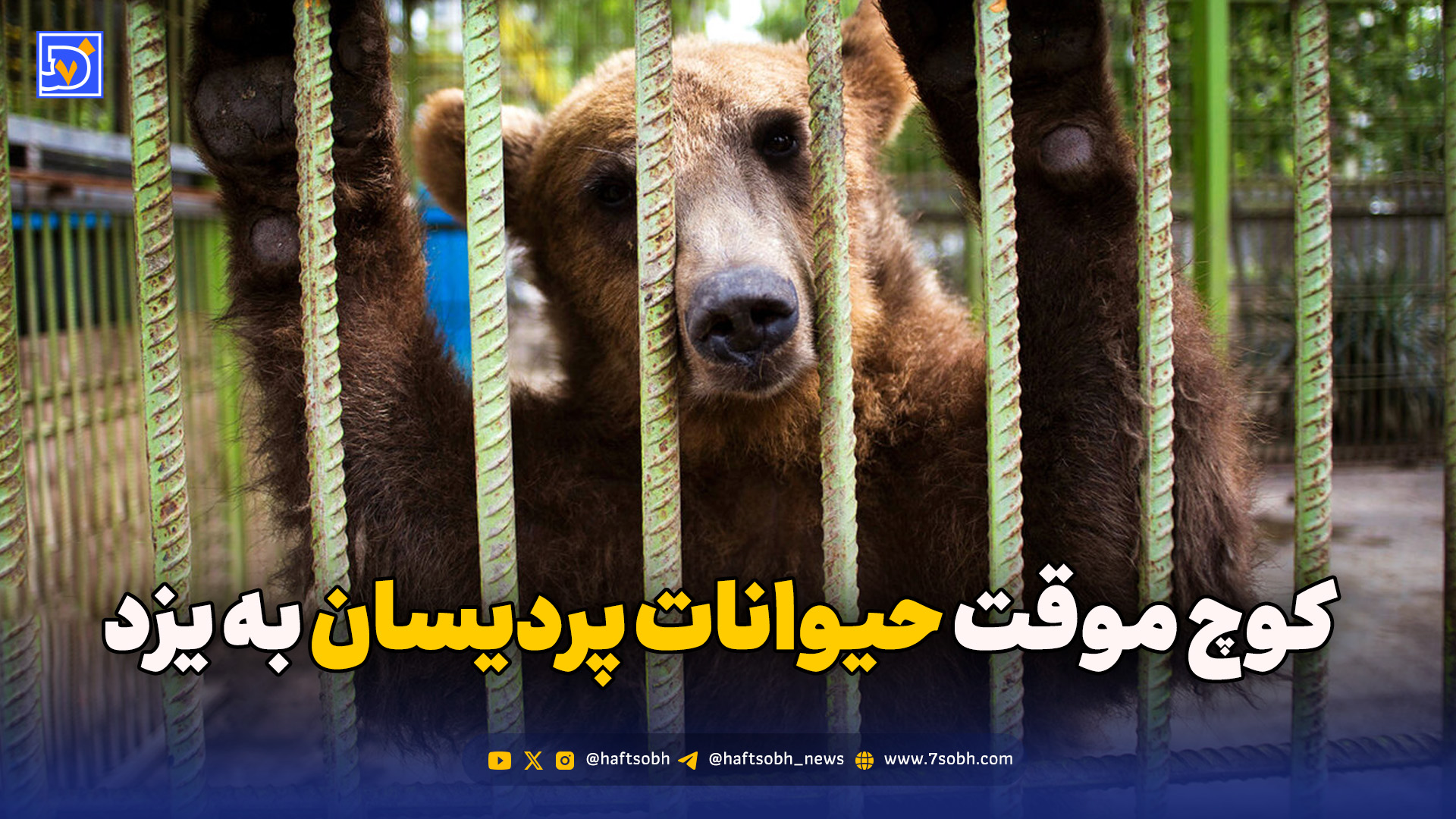 کوچ موقت حیوانات پردیسان به یزد