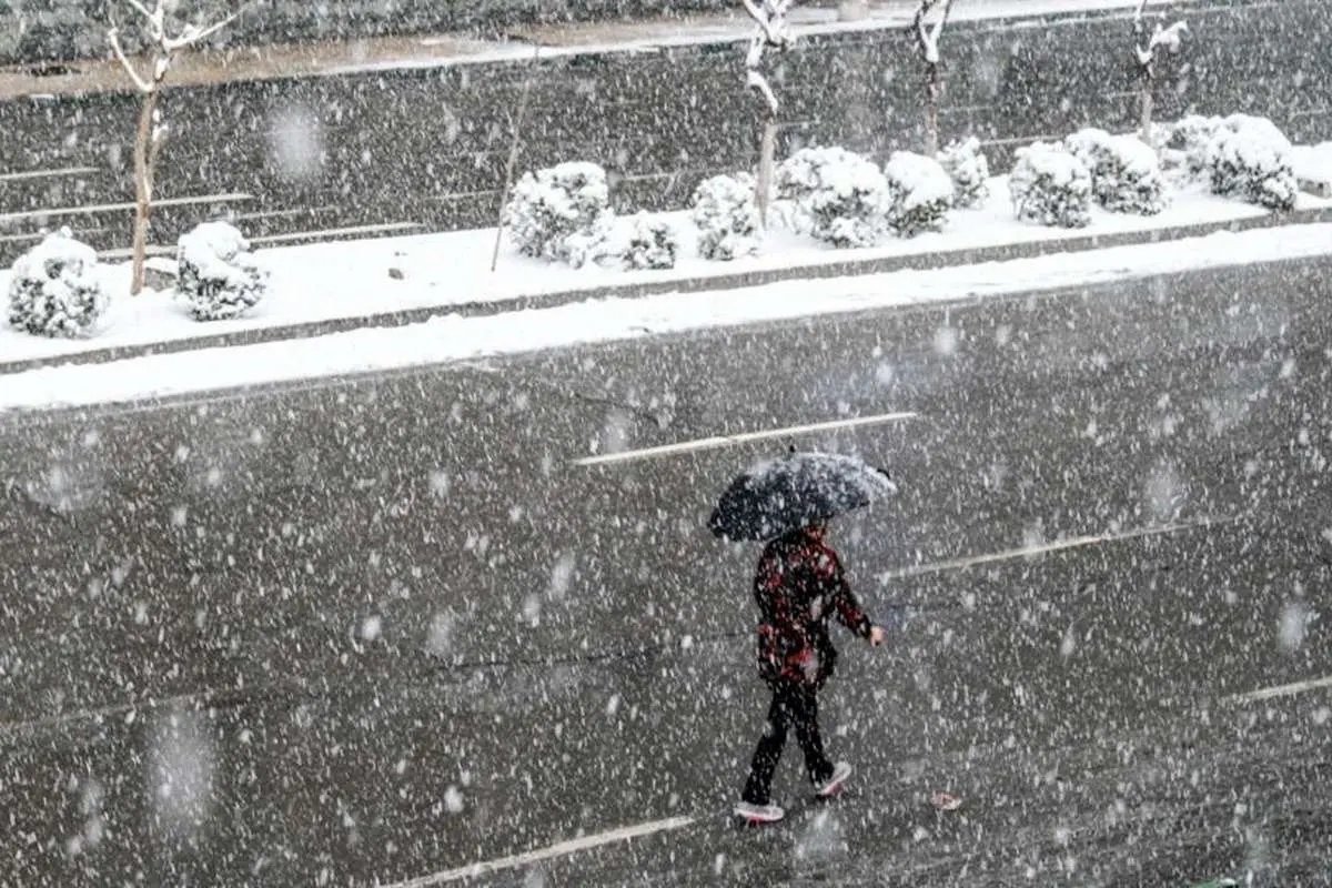 هواشناسی ایران امروز شنبه 4 بهمن 1404 / ۱۰ استان برفی و بارانی می‌شوند