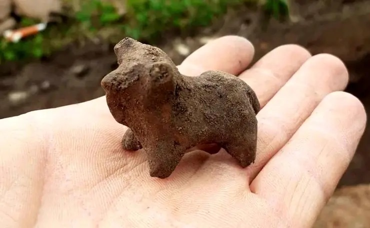 گاوهای 2700 ساله در اوکراین از زیر خاک بیرون آمدند