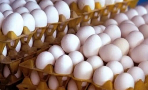 قیمت جدید هر شانه تخممرغ اعلام شد؛ گرانتر نخرید