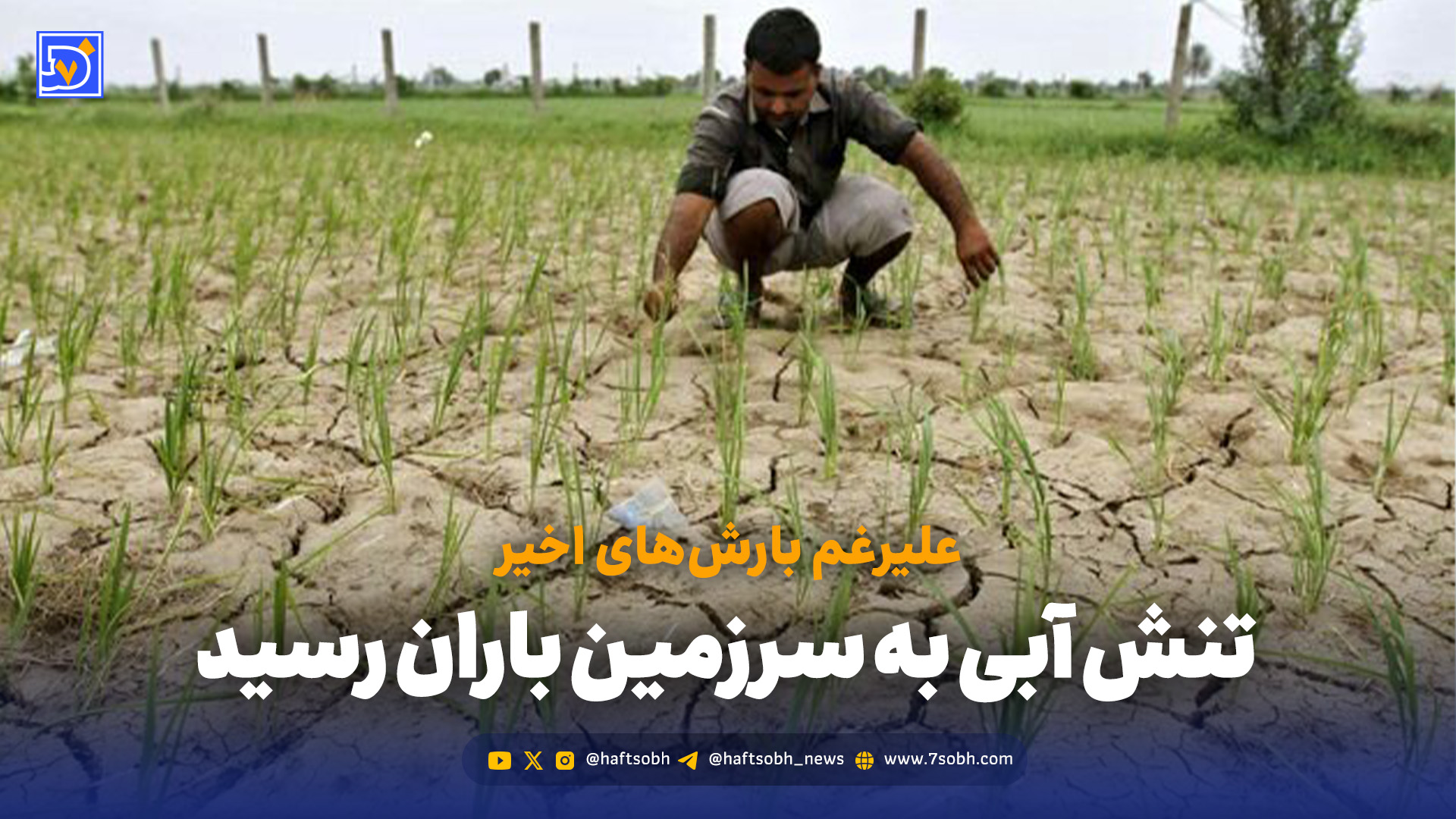 گیلان تشنه شد؛ زنگ خطر کم‌آبی در سرزمین باران