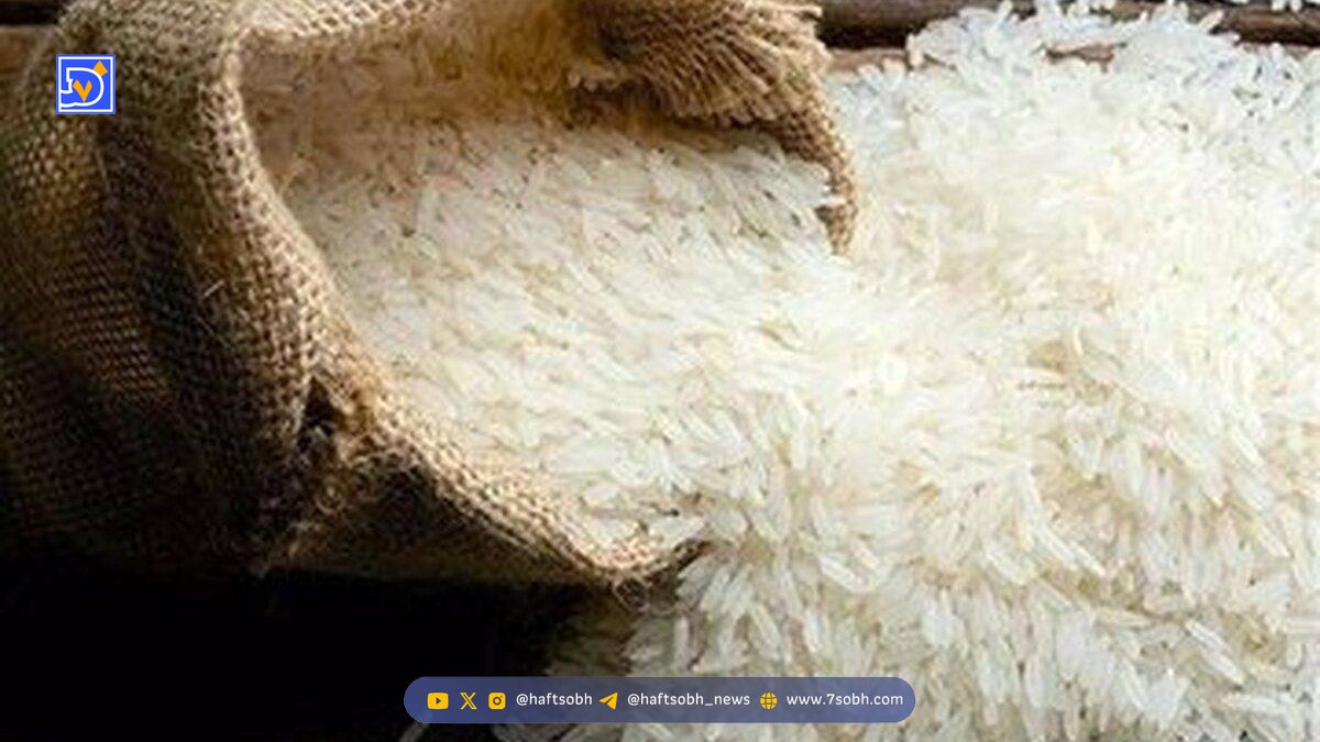 پرداخت یارانه برنج به مردم قطعی شد + مبلغ و مشمولان