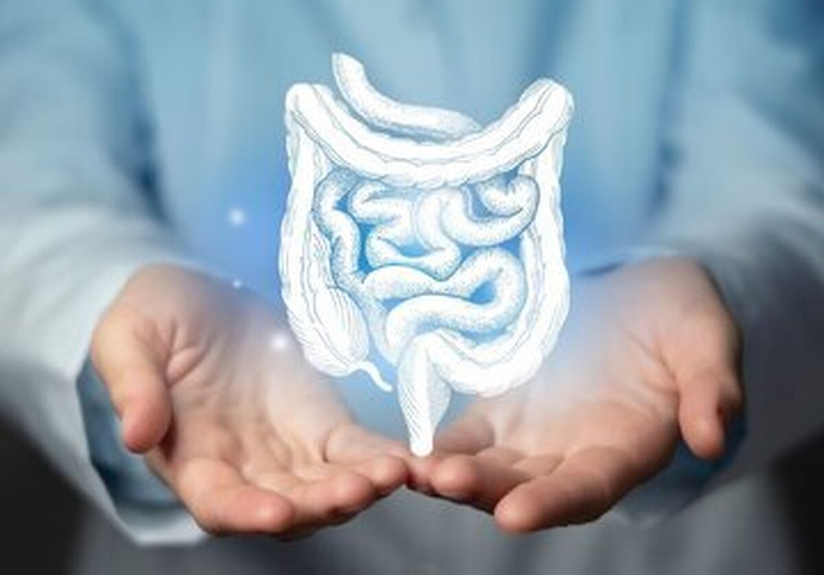 دلایل ابتلا به سرطان روده و راههای پیشگیری از این بیماری کشنده