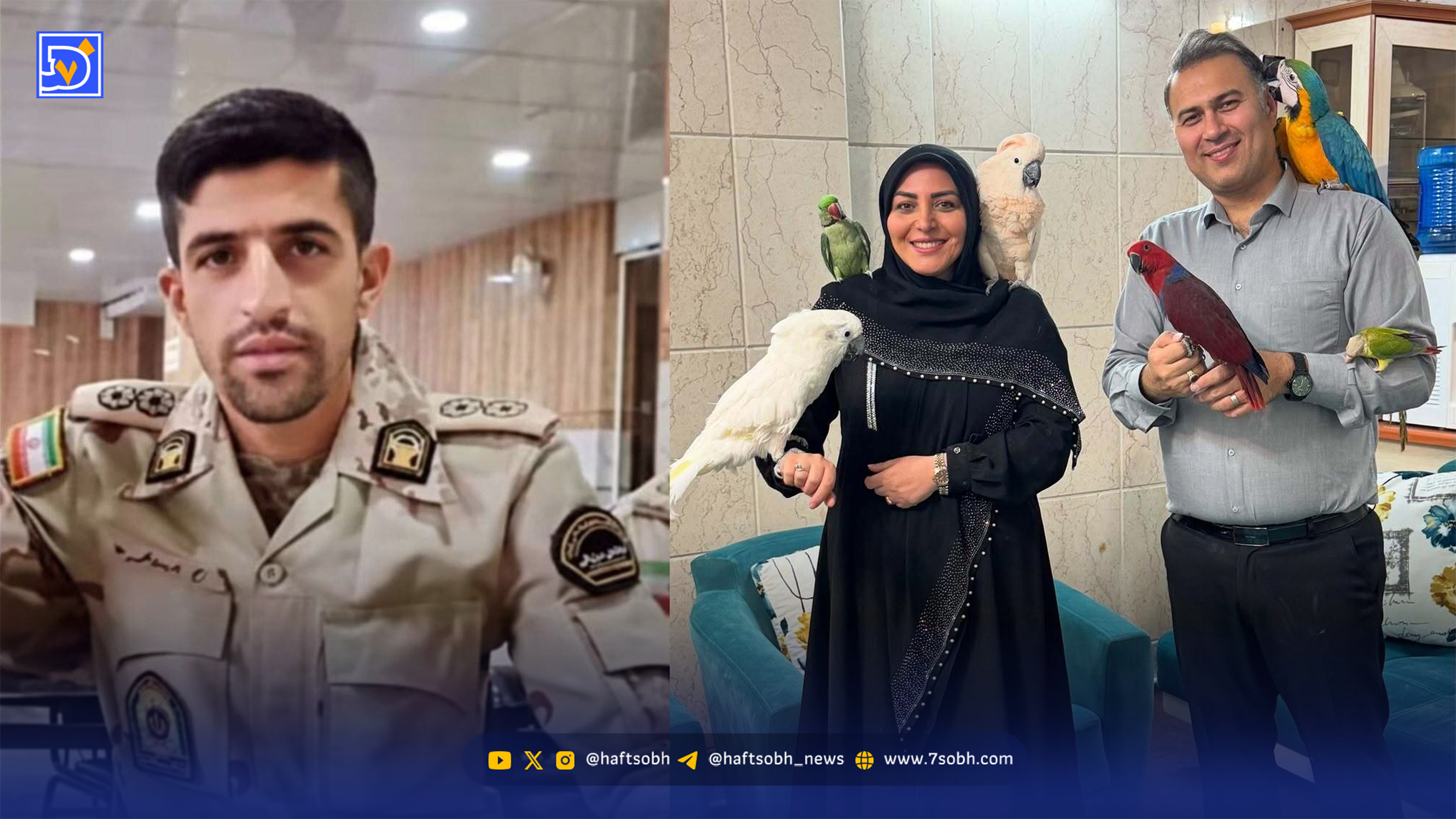 واکنش المیرا شریفیمقدم به جانباختن مرزبان ایرانی بر اثر یخزدگی