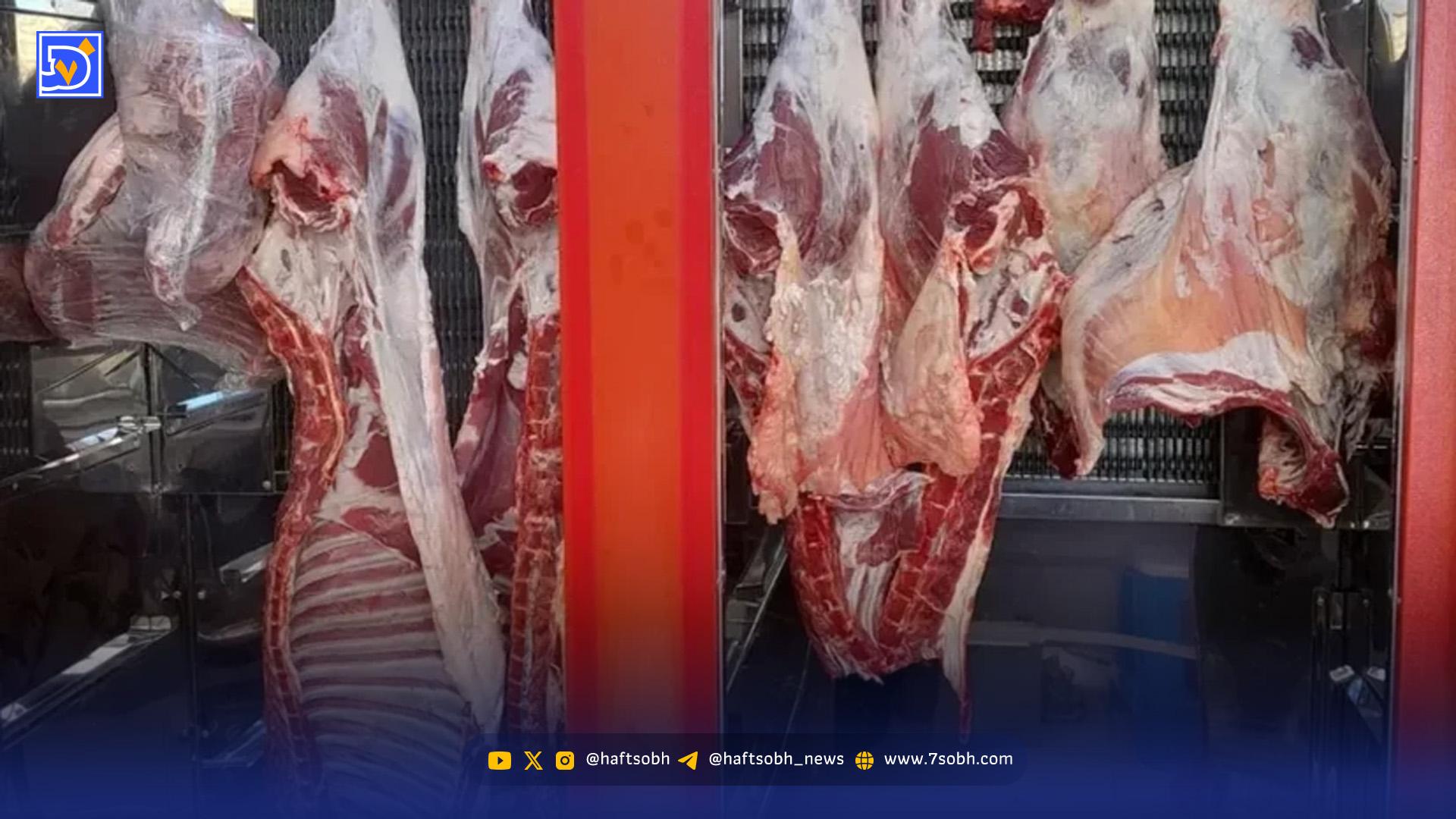 گوشت قرمز ارزان شد / قیمت هر کیلو گوشت گوسفندی در بازار امروز چند؟