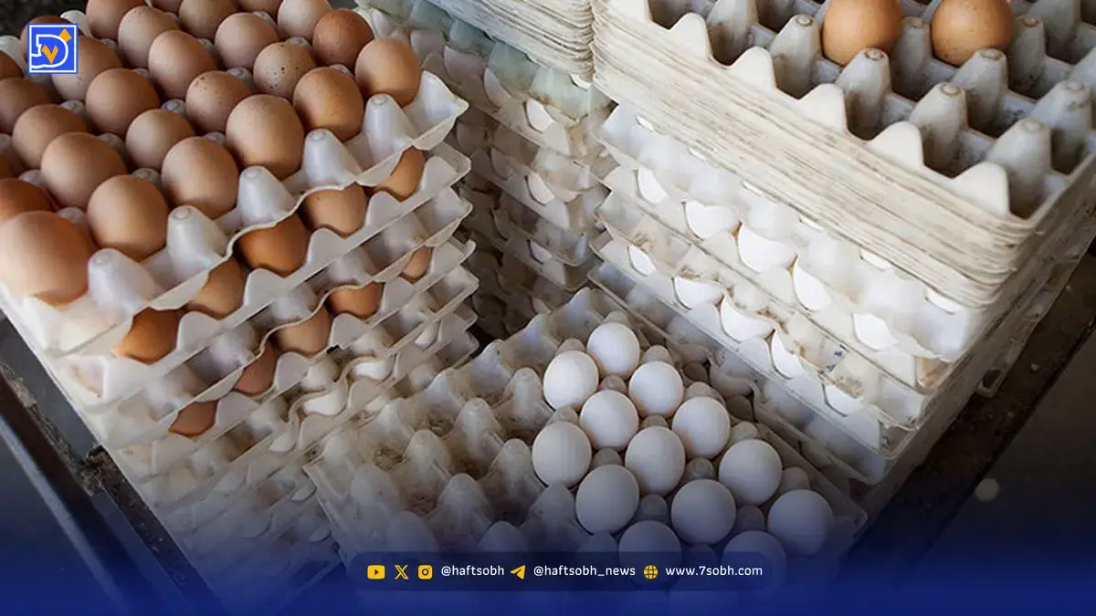 نرخ مرغ و تخم‌مرغ پس از آزادسازی کالابرگ اعلام شد | معاون وزیر رفاه: قیمت مرغ و تخم‌مرغ بعد از واریز کالابرگ افزایش یافت