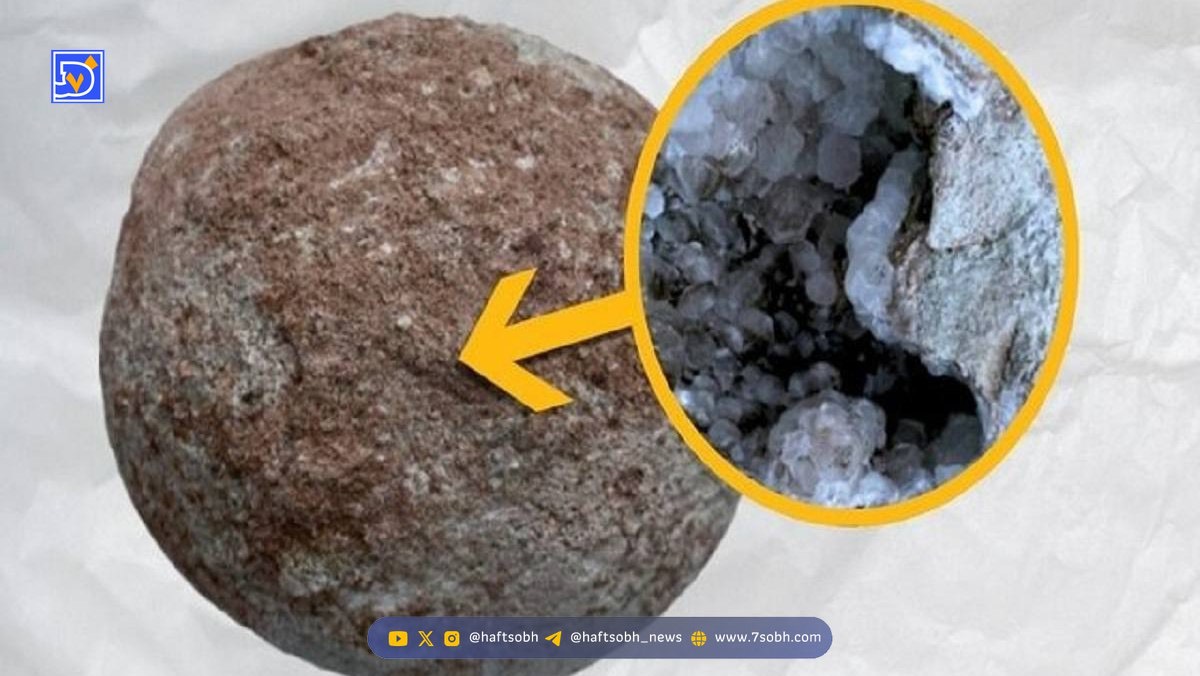 تخم دایناسور ۷۰ میلیون ساله ای که به‌جای جنین پر از بلور بود