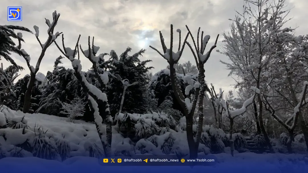 هواشناسی ایران | بارش‌ها سنگین ادامه دارد؛ کدام استان‌ها برفی می‌شوند؟