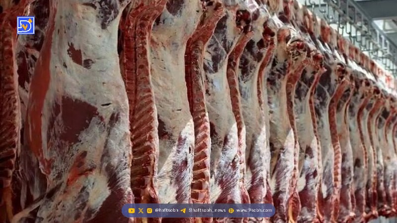 اختلاف قیمت ۲۵ درصدی گوشت گوسفندی در میادین میوه نسبت به سطح شهر/ درصد برنج و شکر چقدر بود؟