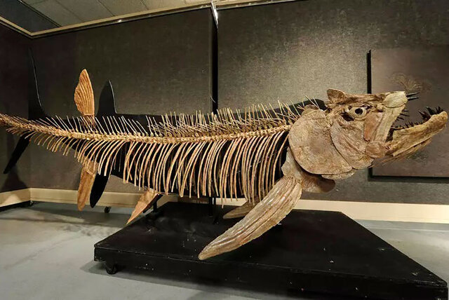 مناطق فسیلی ایران را بشناسید