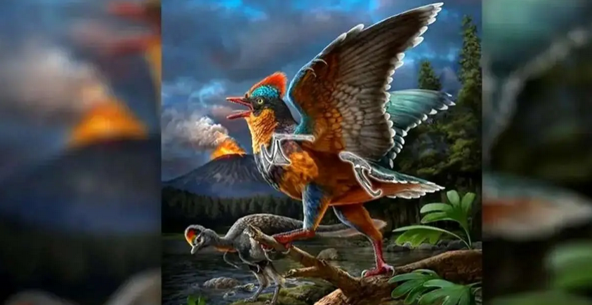 باستانیترین پرندۀ فسیلشده جهان در چین