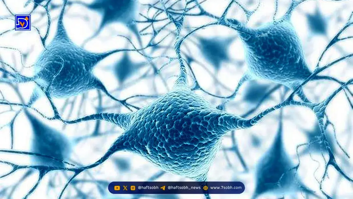 کشف یک منبع انرژی پنهان در سلول‌های انسان