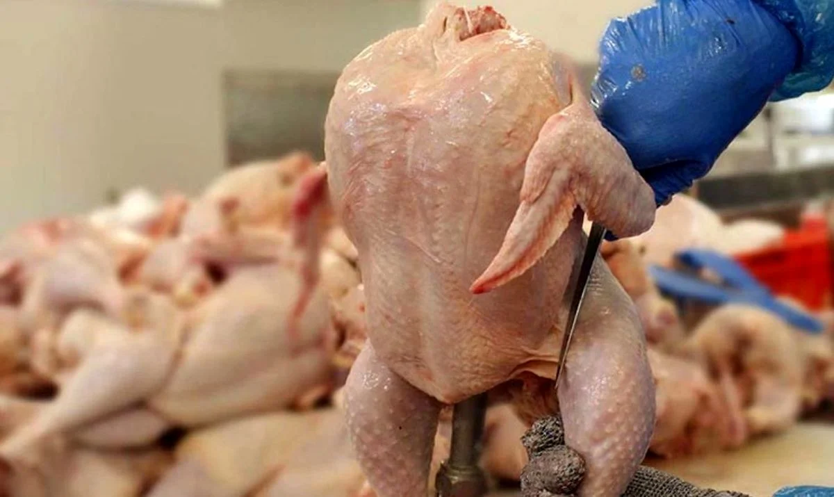قیمت عجیب و غریب مرغ ظهر امروز چهارشنبه ۳۰ اردیبهشت ۱۴۰۵