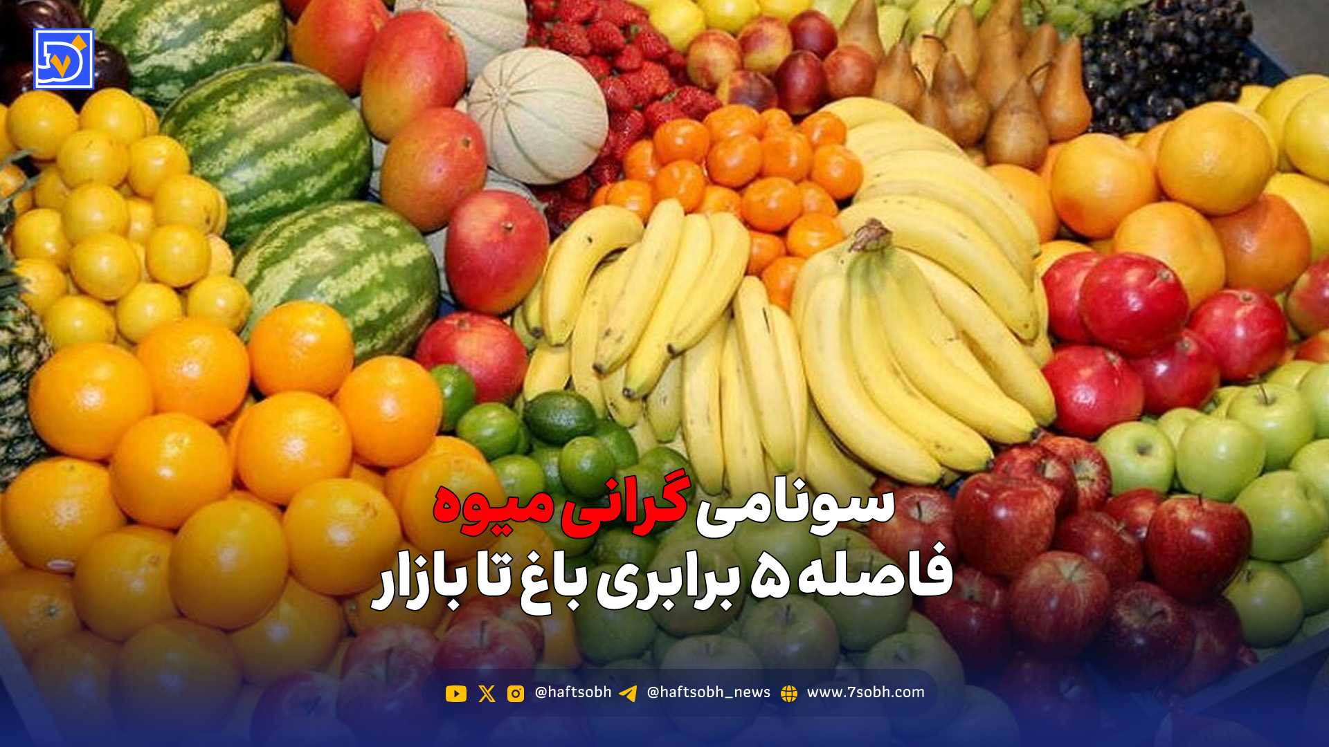 سونامی گرانی میوه؛ فاصله ۵ برابری باغ تا بازار