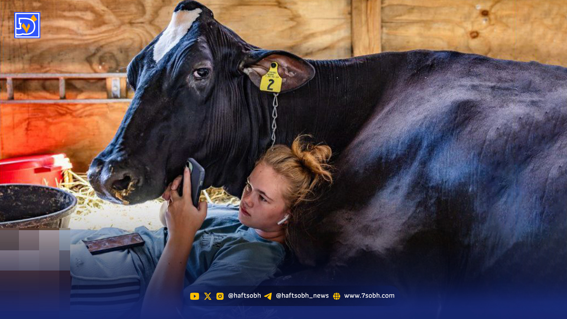 قاب امروز | عکسهای دیدنی از برندگان مسابقه عکاسی جهانی سونی