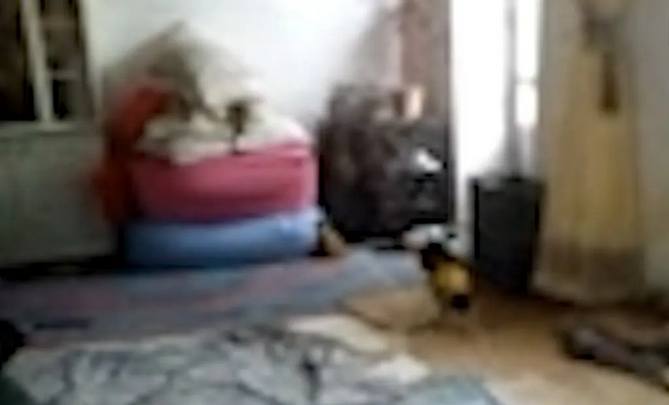 فیلم «آدم کوتوله‌های ۵ سانتی‌متری» در ایران واقعیت دارد؟!